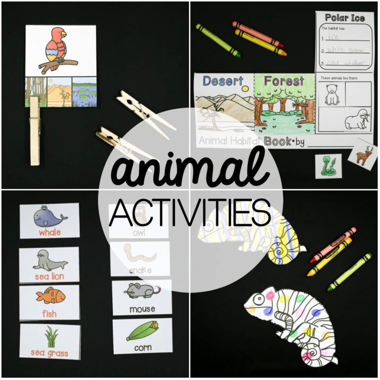 Animal Activities