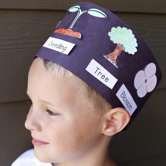 Apple Life Cycle Hat