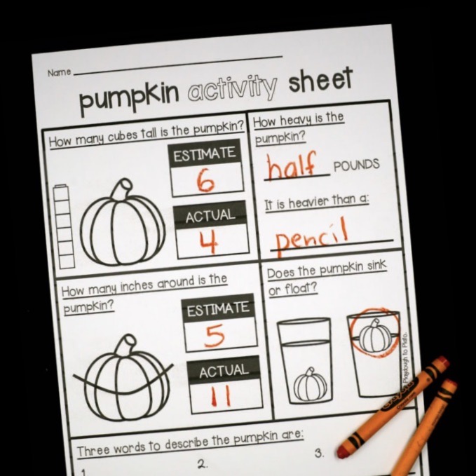 Pumpkin Investigations