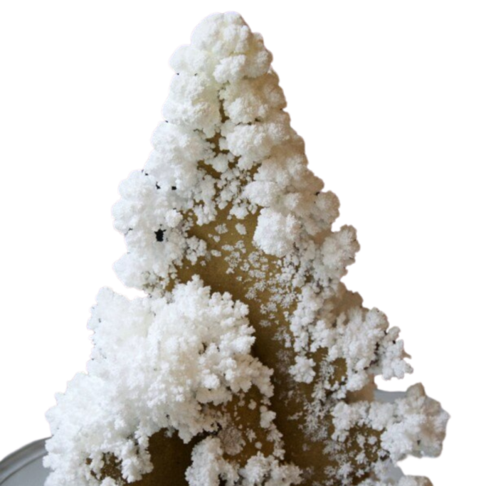 Growing a Crystal Tree