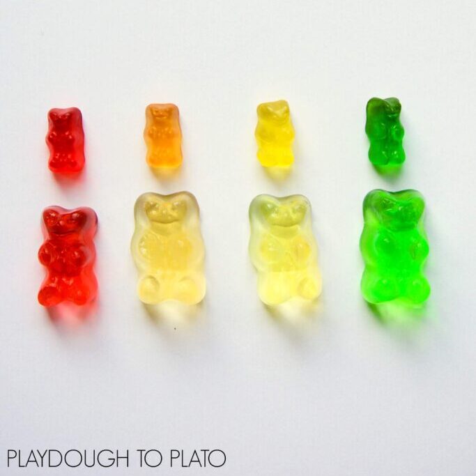 Growing Gummy Bears