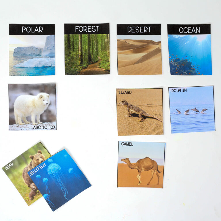 Animal Habitat Sort