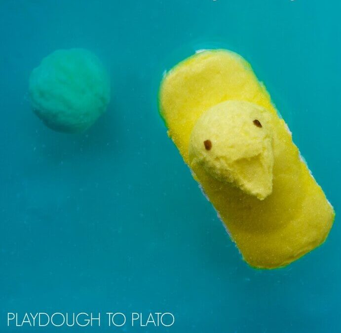 Sink and Float Peeps