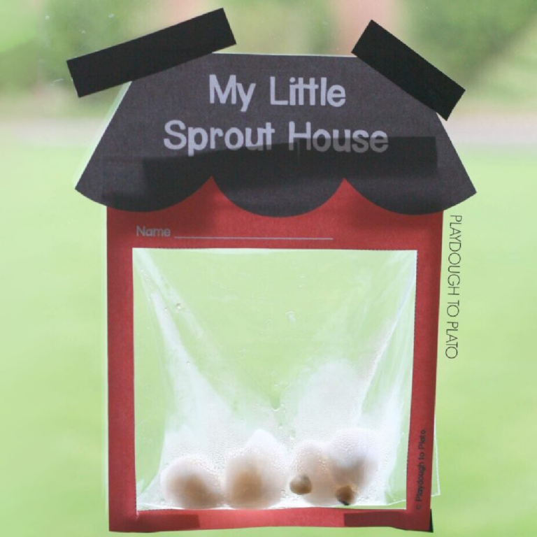 Sprout House
