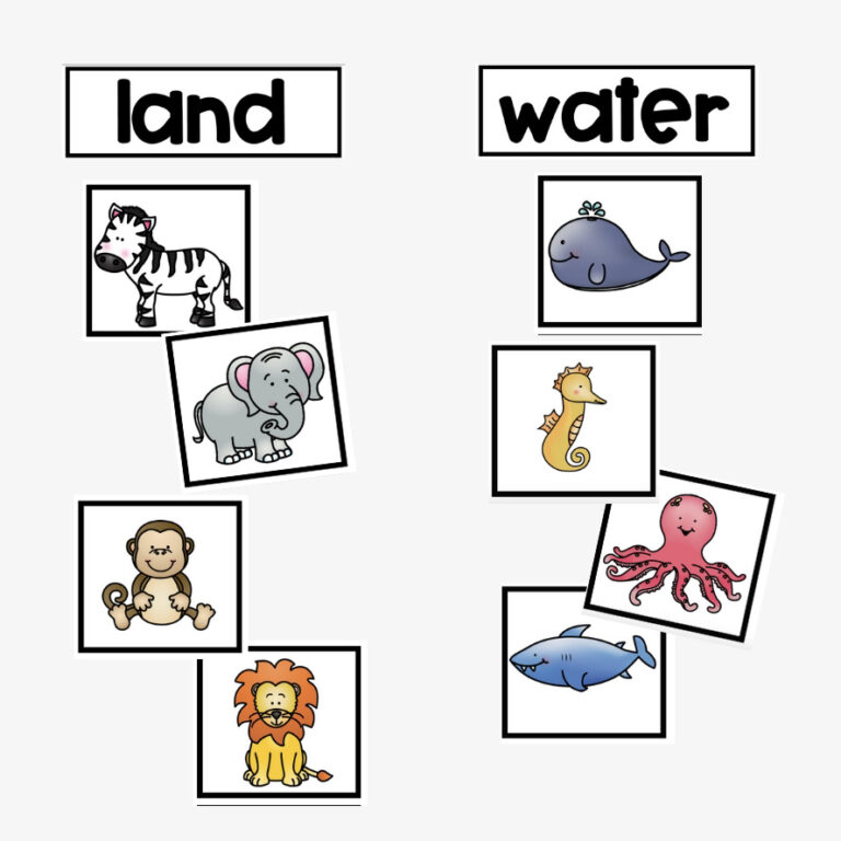 Animal Habitat Sort