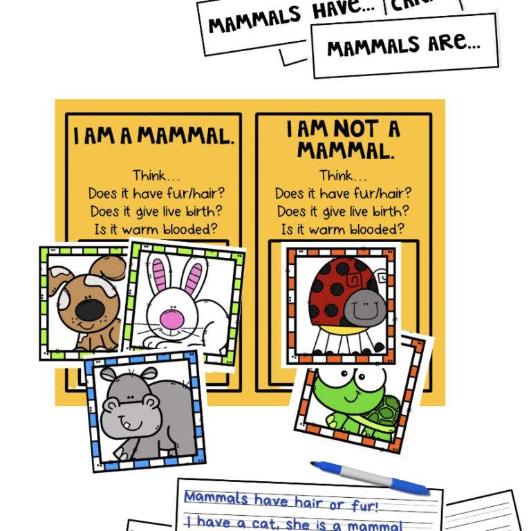 Mammal Sort