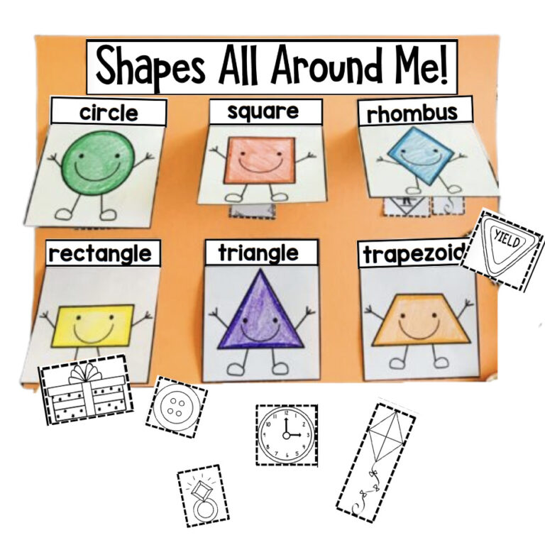 2D Shapes Sorting Activity