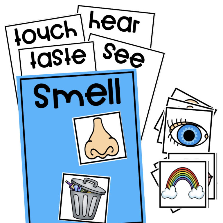 5 Senses Sorting Mat