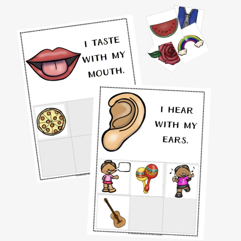 My Five Senses Sorting Cards