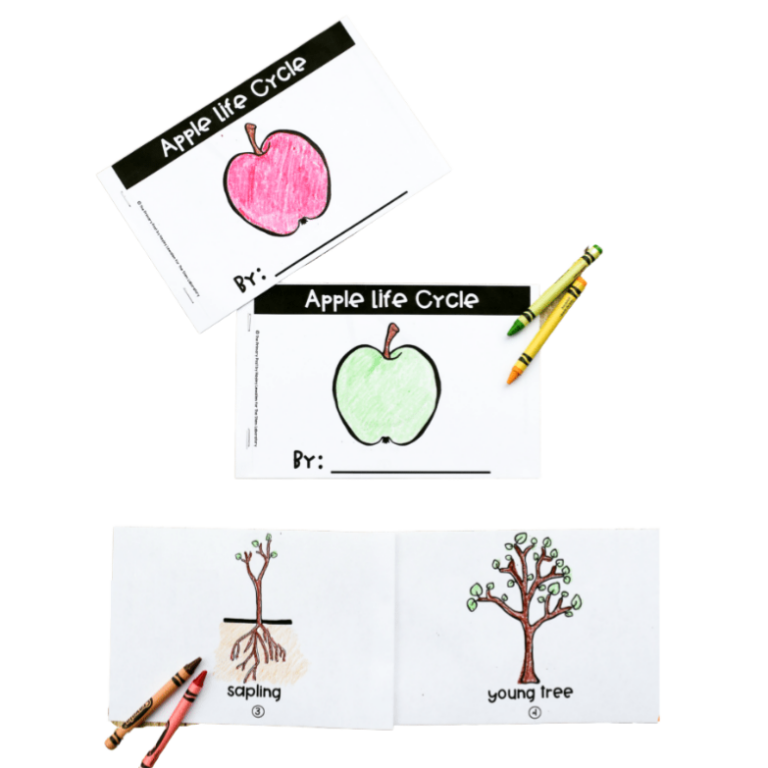 Apple Life Cycle Book