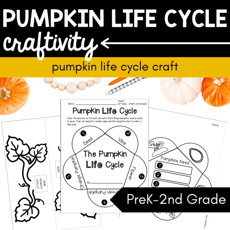 Pumpkin Life Cycle Craftivity