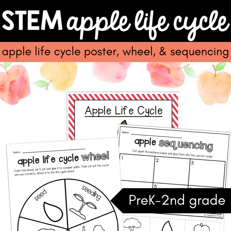 STEM Apple Life Cycle