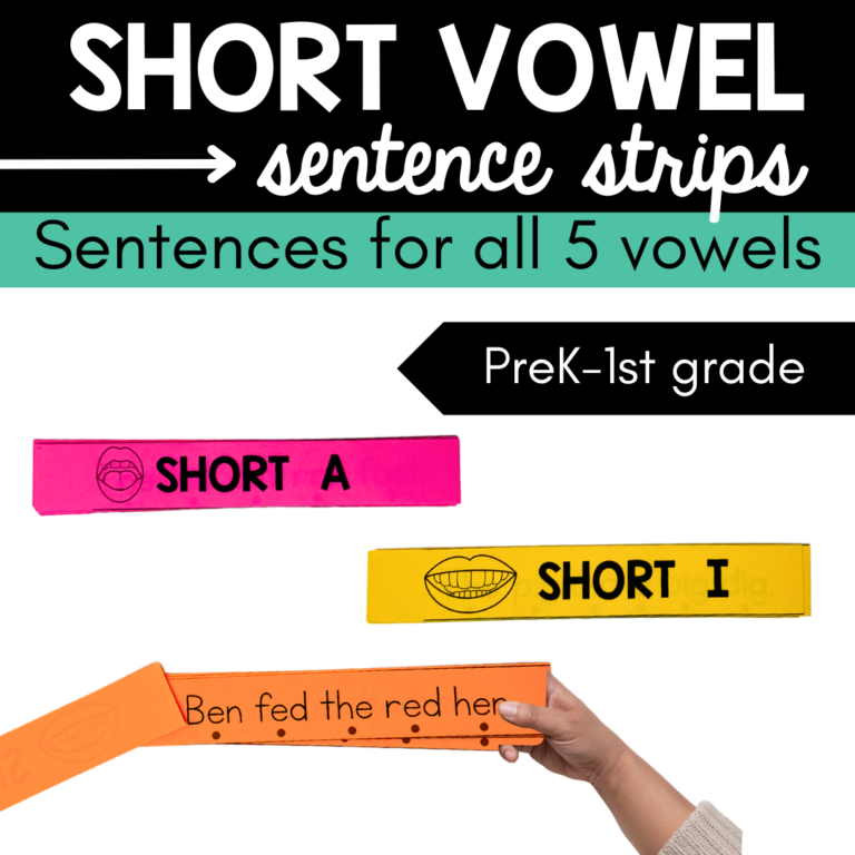 Short Vowel Sentence Strips