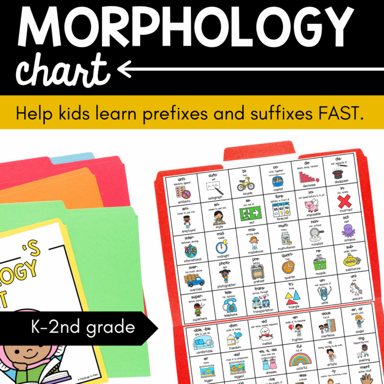 Morphology File Folder Chart